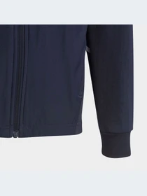 Худи и свитшоты Adidas модель HR6278-KZ Фото