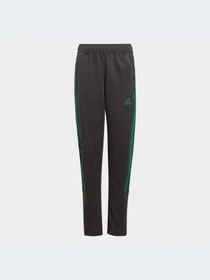Брюки Adidas Tiro модель HY4212-KZ Фото
