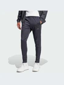 Брюки Adidas Tiro модель IA3065-KZ Фото