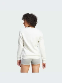 Худи и свитшоты Adidas модель IM0207-KZ Фото