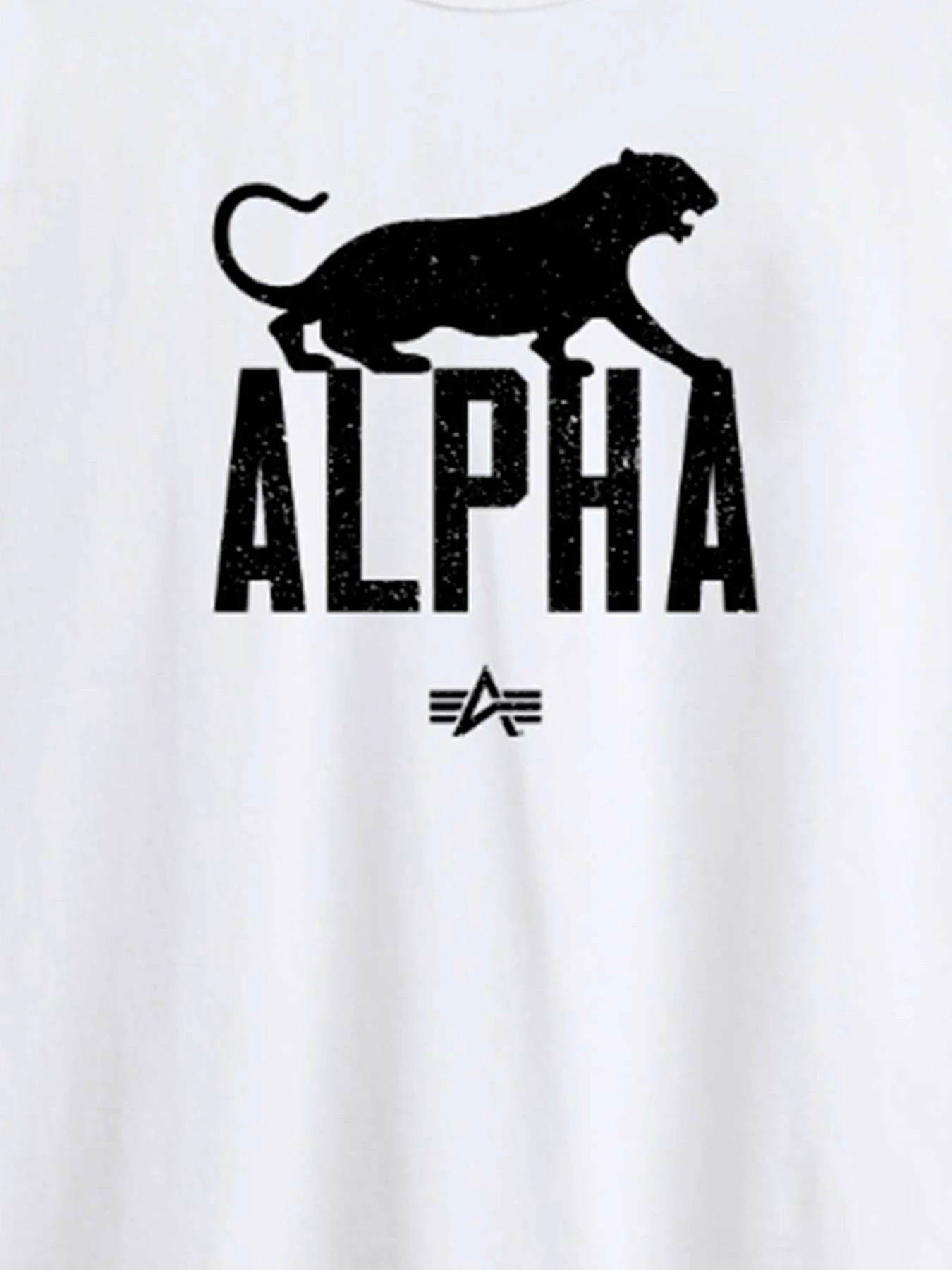 Футболки и поло Alpha Industries модель UTA54019PK_100 Фото
