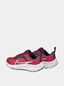 Кроссовки NIKE модель DX2498-009 Фото