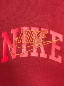 Худи и свитшоты NIKE модель FV4445-677 Фото