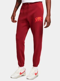 Брюки NIKE модель FV4453-677 Фото