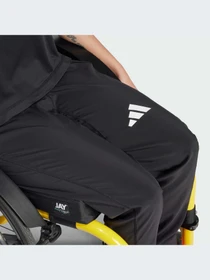 Брюки Adidas Clima модель IN2461-KZ Фото