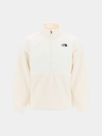Худи и свитшоты The North Face модель NF0A5GFJN3N1 Фото
