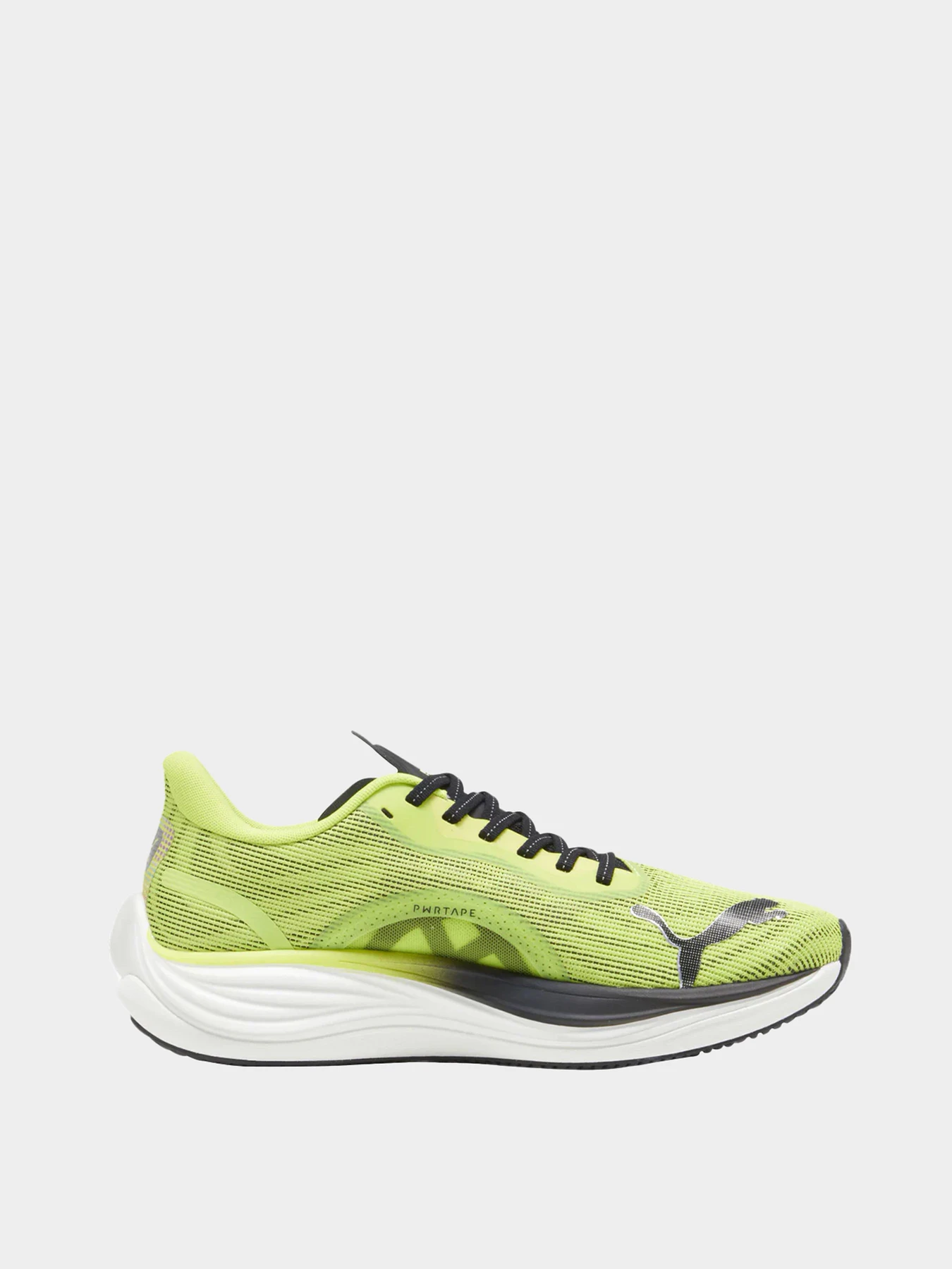 Кроссовки PUMA модель 38008001 Кроссовки PUMA модель 38008001 Фото