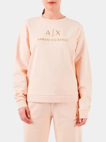 Худи и свитшоты Armani Exchange модель 3DYMAA-YJ68Z-14BD Фото