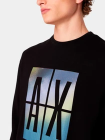 Худи и свитшоты Armani Exchange модель 3DZMJE-ZJZDZ-1200 Фото