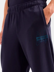 Брюки Armani Exchange модель 3DZPHK-ZJXRZ-15CX Фото
