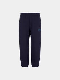 Брюки Armani Exchange модель 3DZPHK-ZJXRZ-15CX Фото