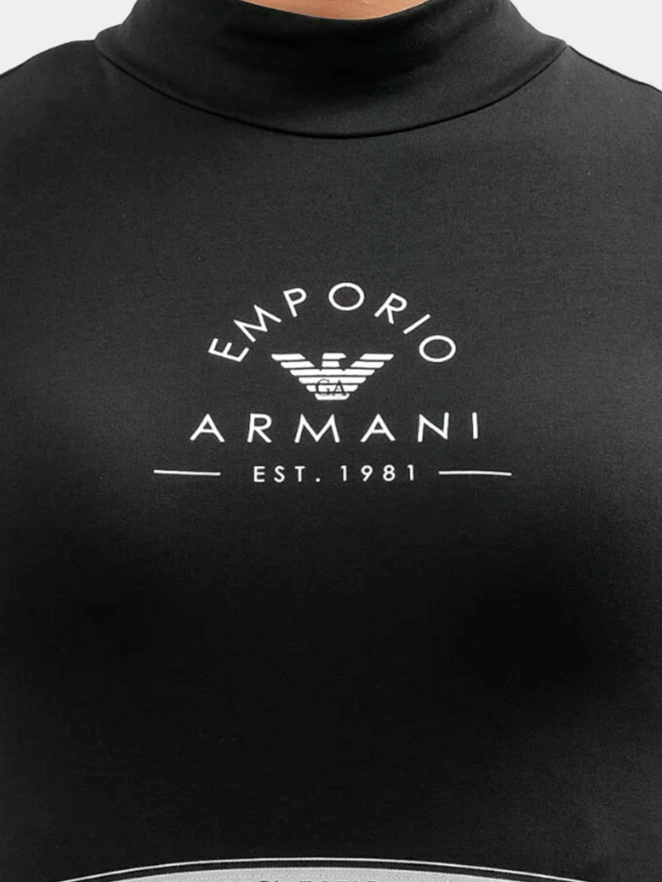 Футболки и поло Emporio Armani модель 164430-4R227-00020 Футболки и поло Emporio Armani модель 164430-4R227-00020 Фото
