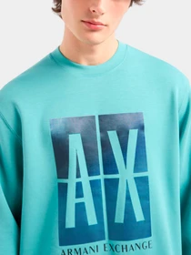 Худи и свитшоты Armani Exchange модель 3DZMJE-ZJZDZ-15DG Фото