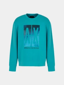 Худи и свитшоты Armani Exchange модель 3DZMJE-ZJZDZ-15DG Фото