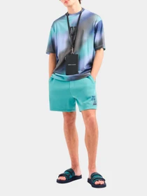 Шорты Armani Exchange модель 3DZSJE-ZJZDZ-15DG Фото