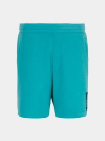 Шорты Armani Exchange модель 3DZSJE-ZJZDZ-15DG Фото