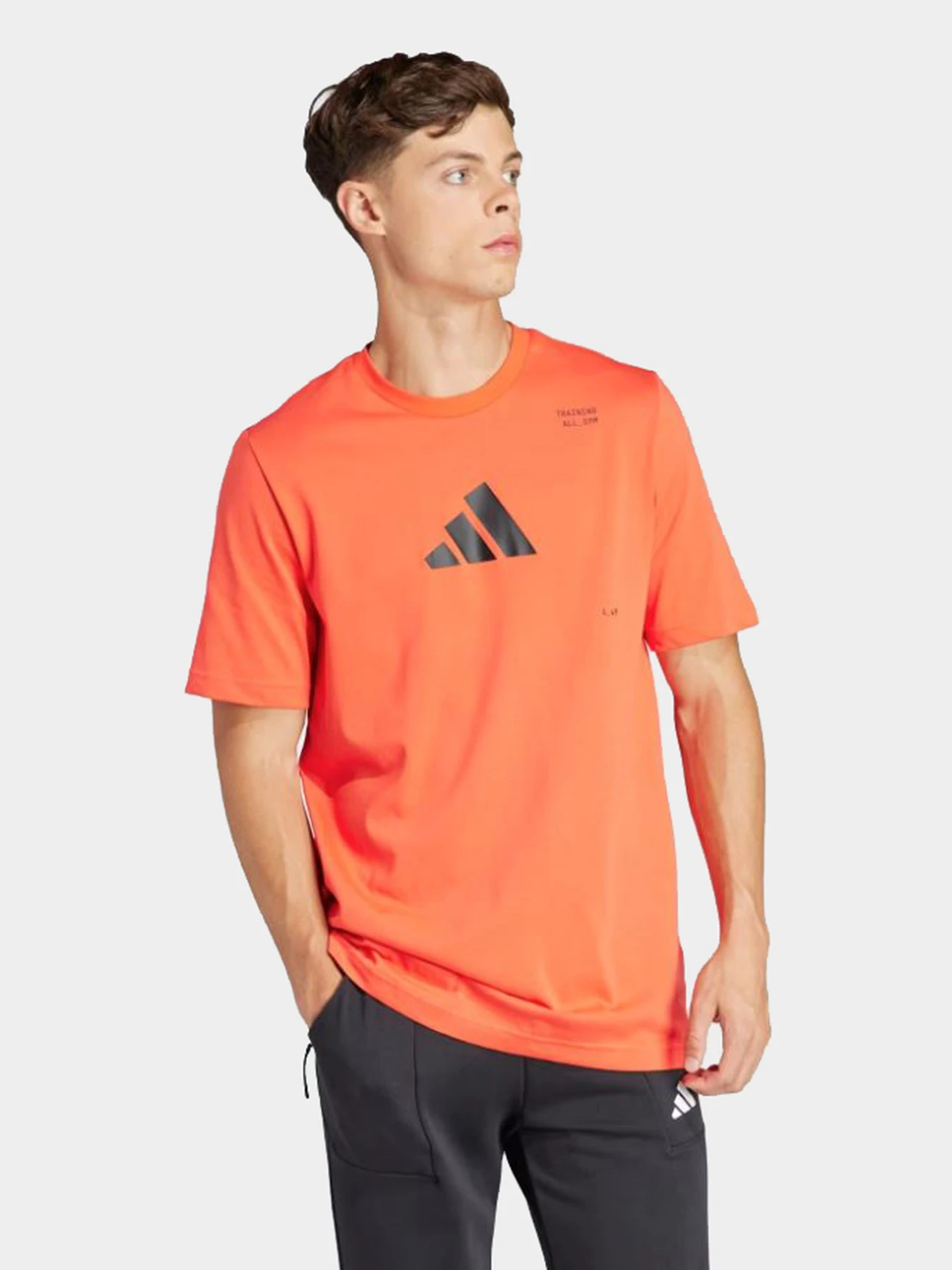 Футболки и поло Adidas модель IS7090 Футболки и поло Adidas модель IS7090 Фото