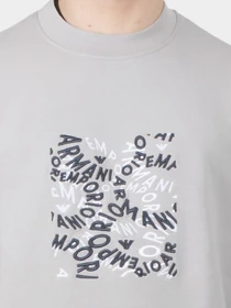 Худи и свитшоты Emporio Armani модель 3D1M70-1JHSZ-06I3 Фото