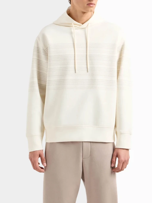 Худи и свитшоты Emporio Armani модель 3D1M71-1JHSZ-0128 Фото