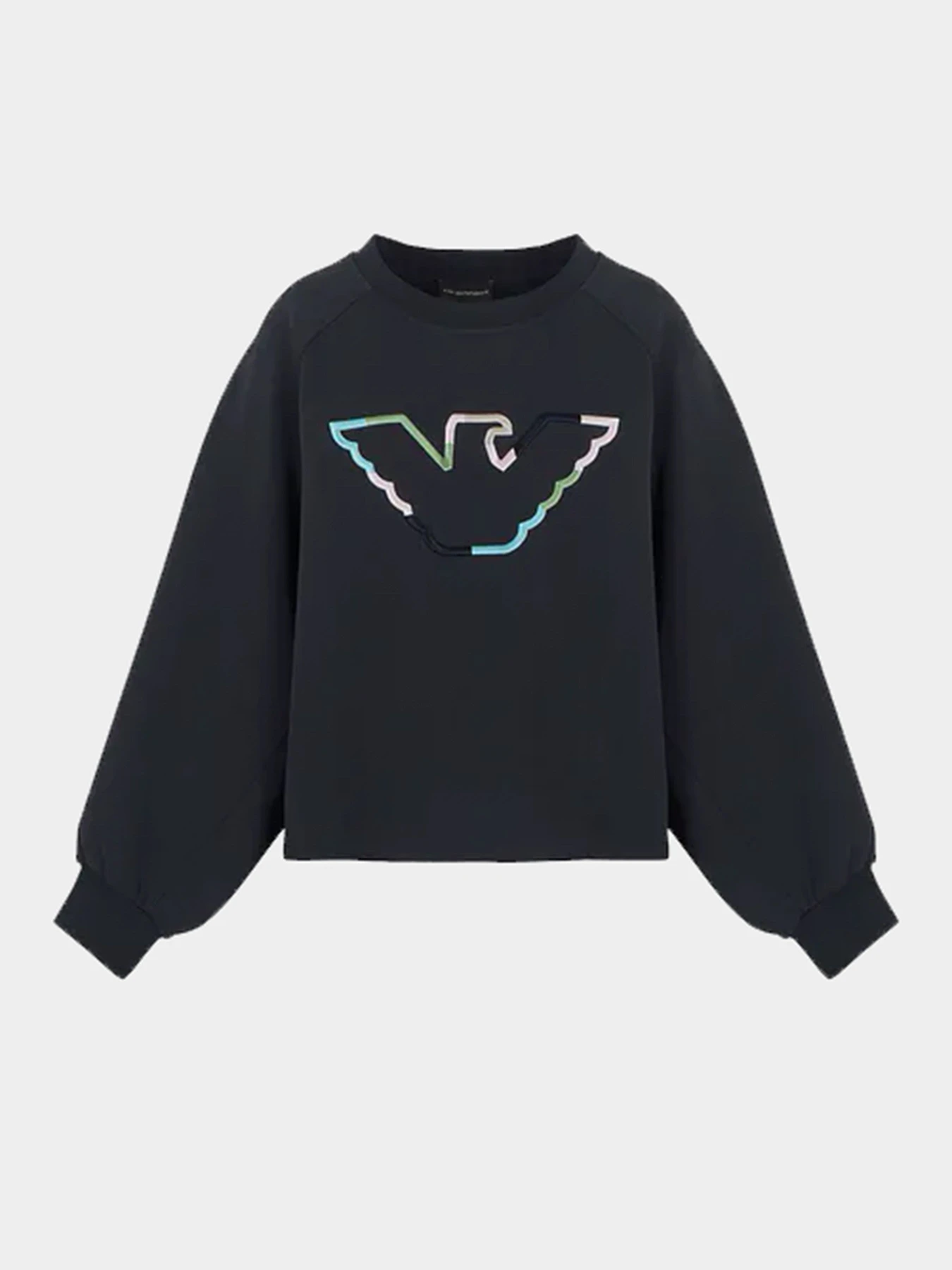 Худи и свитшоты Emporio Armani модель 3D2M6L-1JHSZ-0927 Фото