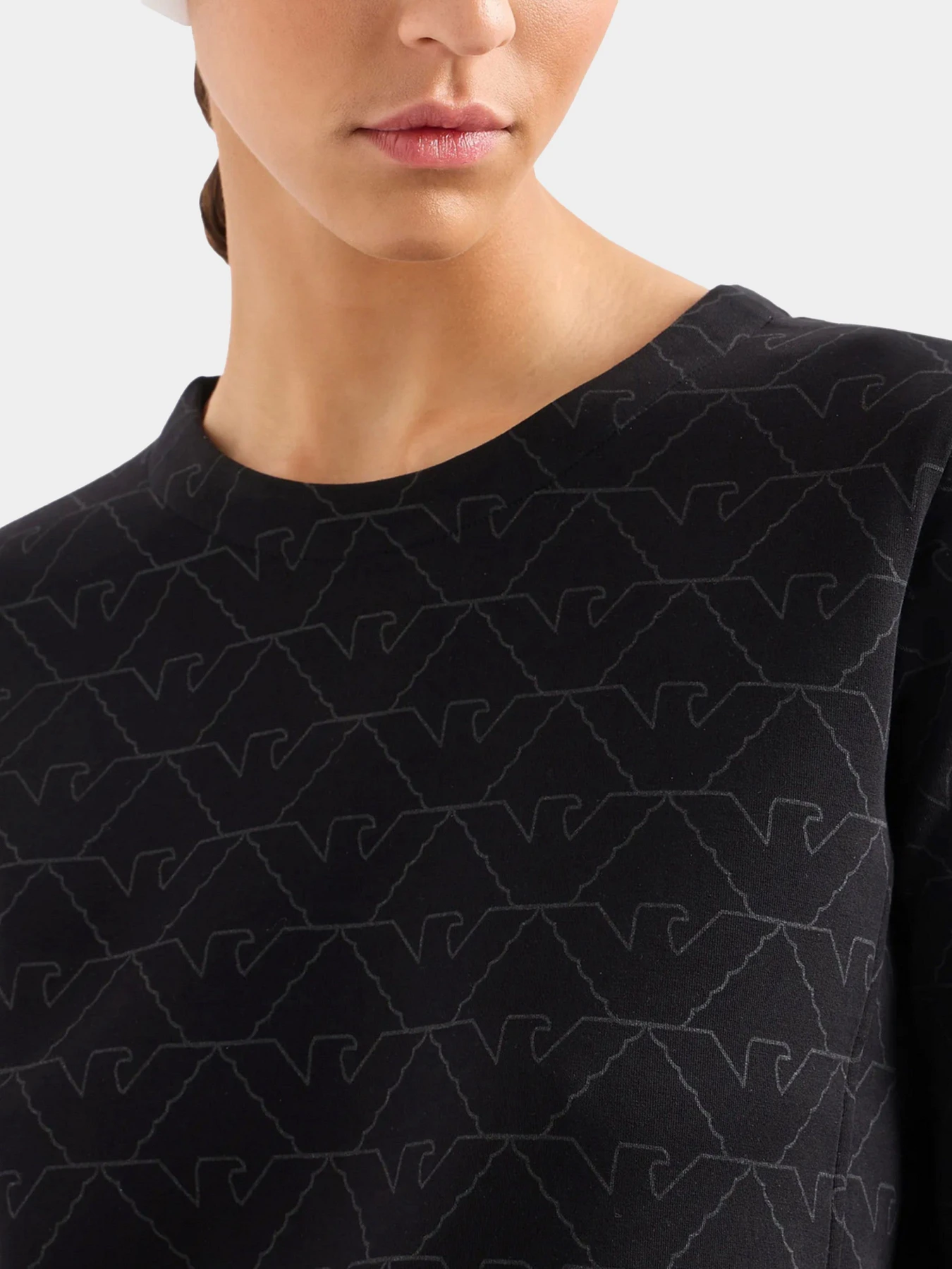 Худи и свитшоты Emporio Armani модель 3D2M6H-1JHSZ-F010 Худи и свитшоты Emporio Armani модель 3D2M6H-1JHSZ-F010 Фото
