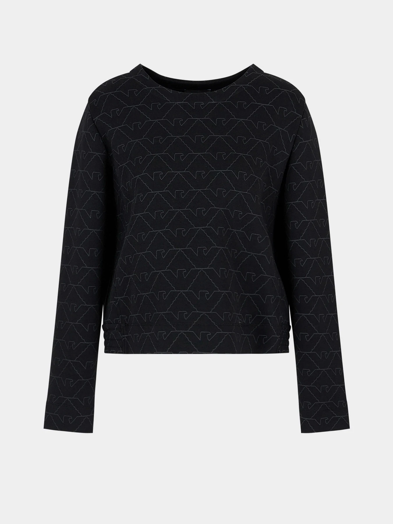 Худи и свитшоты Emporio Armani модель 3D2M6H-1JHSZ-F010 Худи и свитшоты Emporio Armani модель 3D2M6H-1JHSZ-F010 Фото