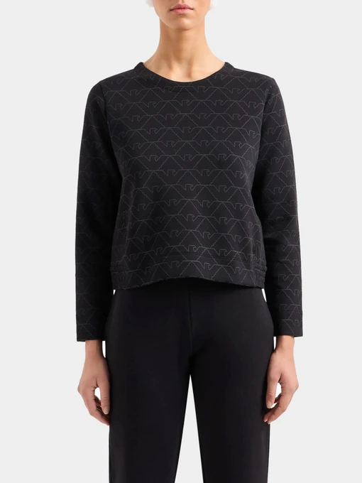 Худи и свитшоты Emporio Armani модель 3D2M6H-1JHSZ-F010 Фото