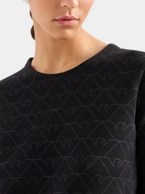 Худи и свитшоты Emporio Armani модель 3D2M6H-1JHSZ-F010 Фото