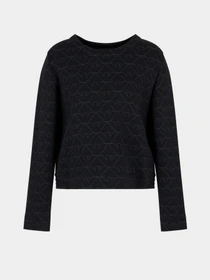 Худи и свитшоты Emporio Armani модель 3D2M6H-1JHSZ-F010 Фото