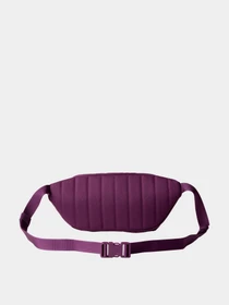 Сумки The North Face модель NF0A52VUTIH1 Фото