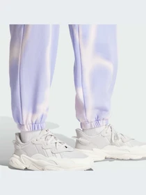 Брюки Adidas Graphics модель IS2490-KZ Фото