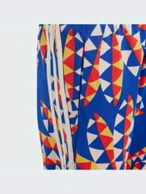 Брюки Adidas модель IP1842-KZ Фото