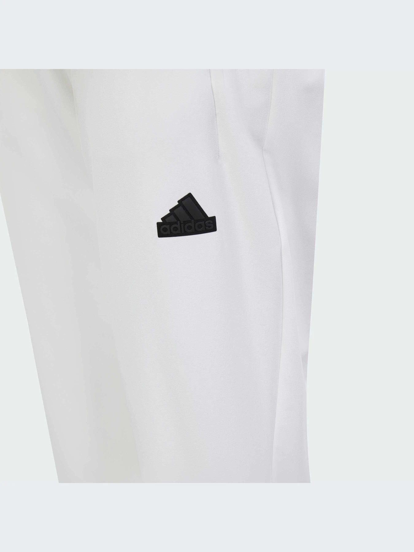 Брюки Adidas ZNE модель IM8401-KZ Брюки Adidas ZNE модель IM8401-KZ Фото