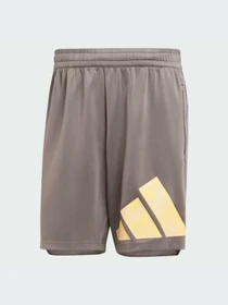 Шорты Adidas модель IS3798-KZ Фото