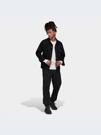 Брюки Adidas Adicolor модель HK2866-KZ Фото