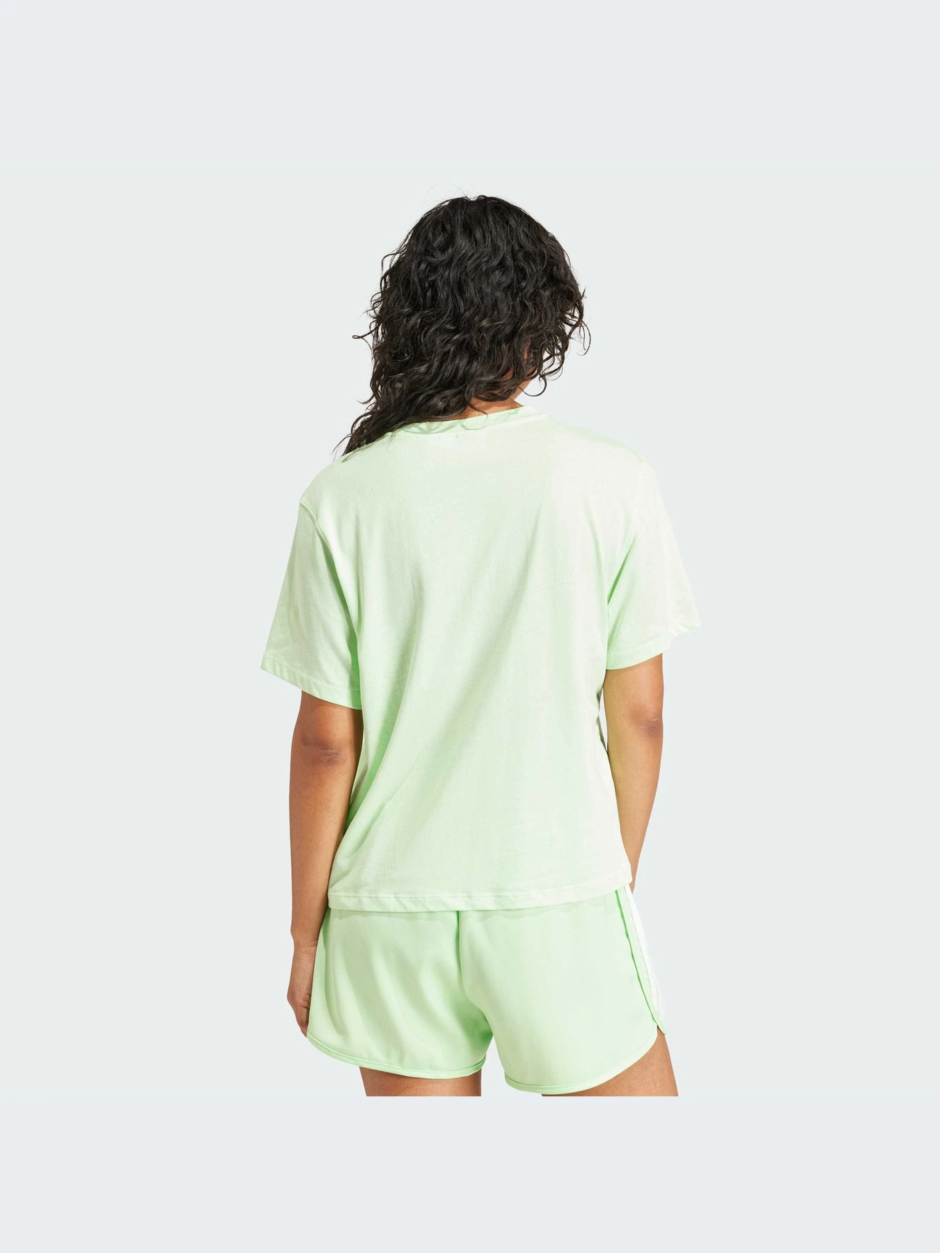 Футболки и поло Adidas Trefoil модель IN8436-KZ Футболки и поло Adidas Trefoil модель IN8436-KZ Фото