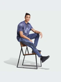 Брюки Adidas Icons модель IR9216-KZ Фото