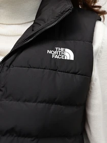 Куртки и дубленки The North Face модель NF0A84JPJK31 Фото