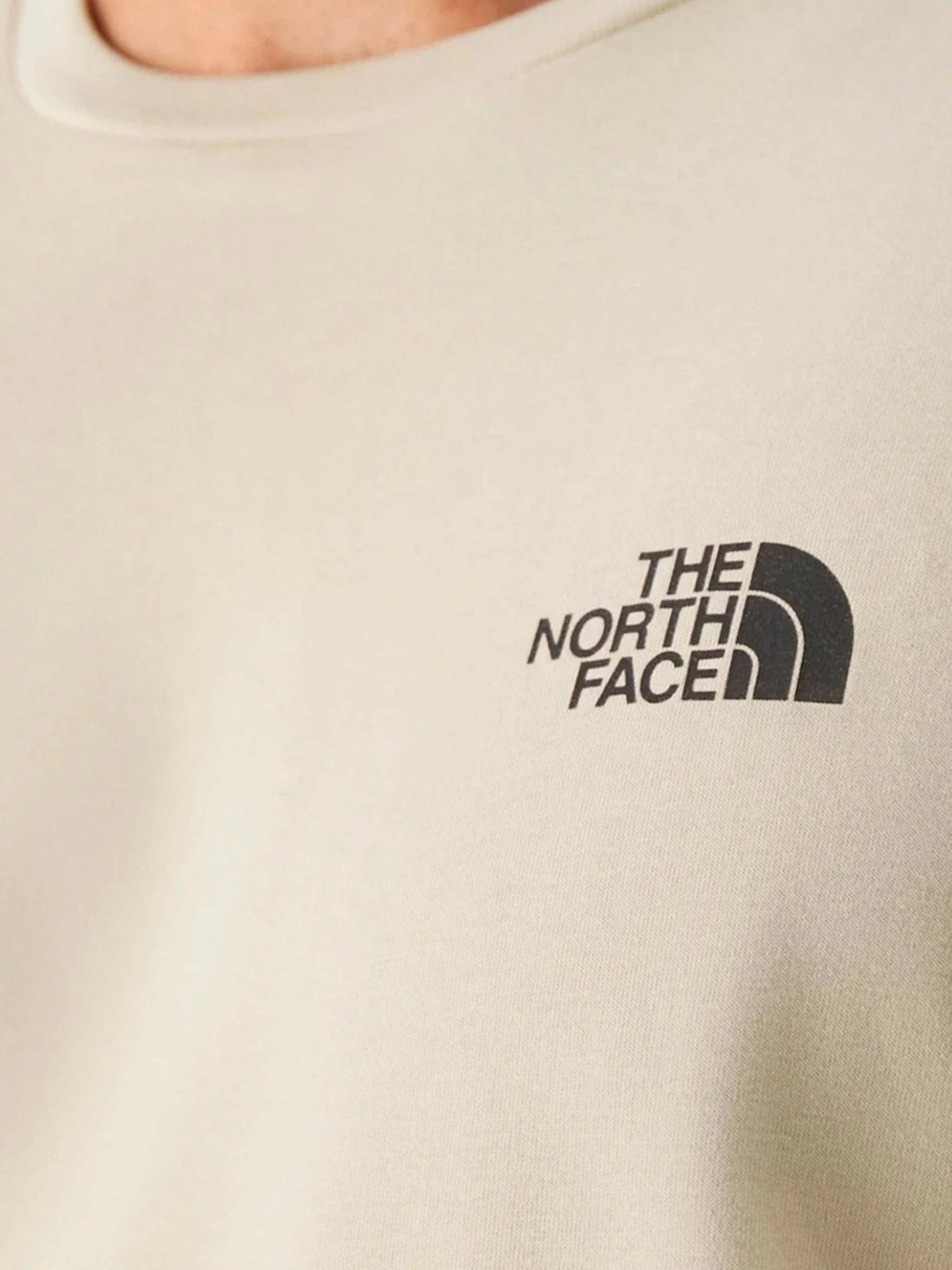 Футболки и поло The North Face модель NF0A87NG3X41 Футболки и поло The North Face модель NF0A87NG3X41 Фото