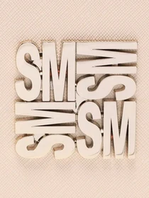 Сумки Steve Madden модель SM13001031 BONE Фото