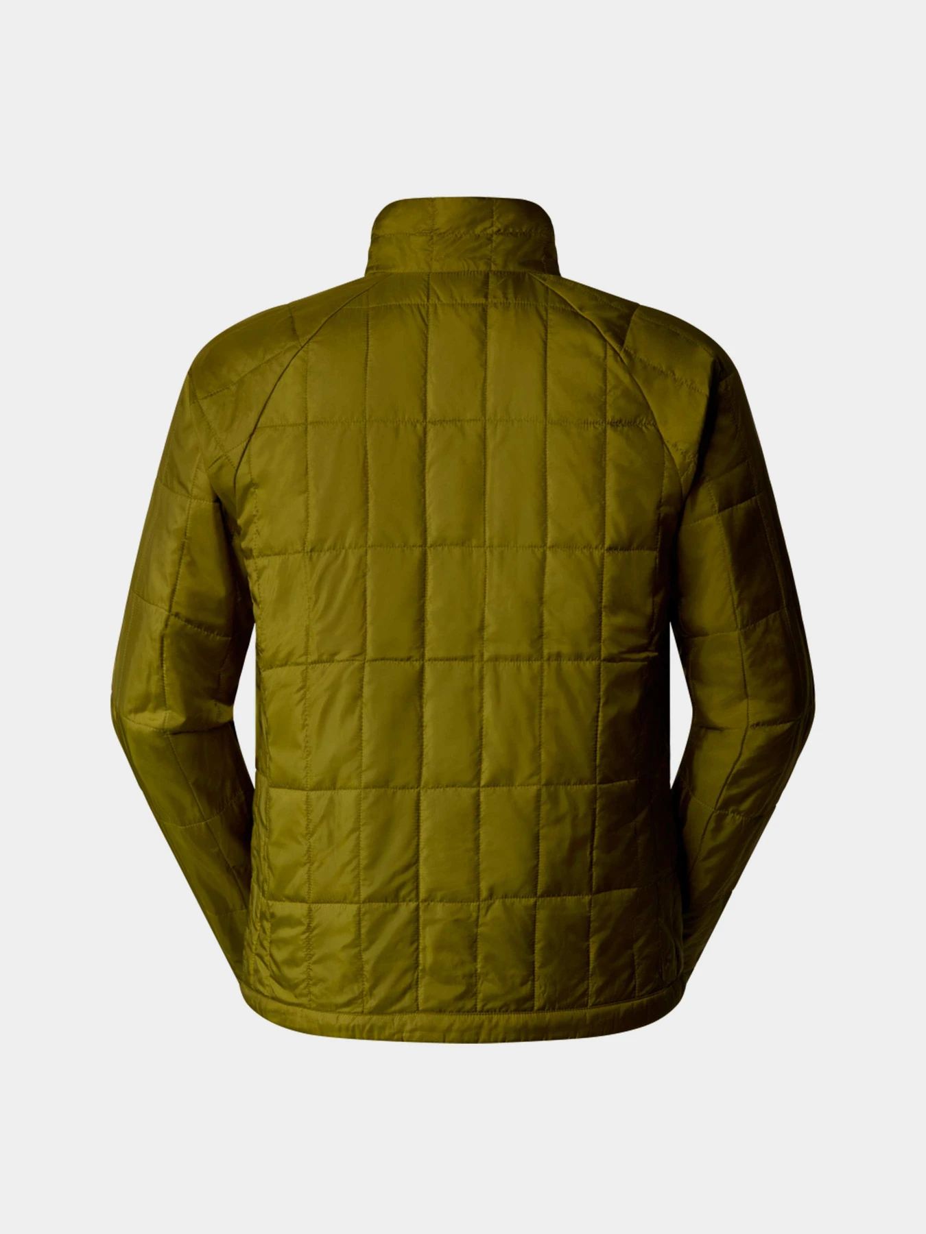 Куртки и дубленки The North Face модель NF0A88EWPIB1 Куртки и дубленки The North Face модель NF0A88EWPIB1 Фото