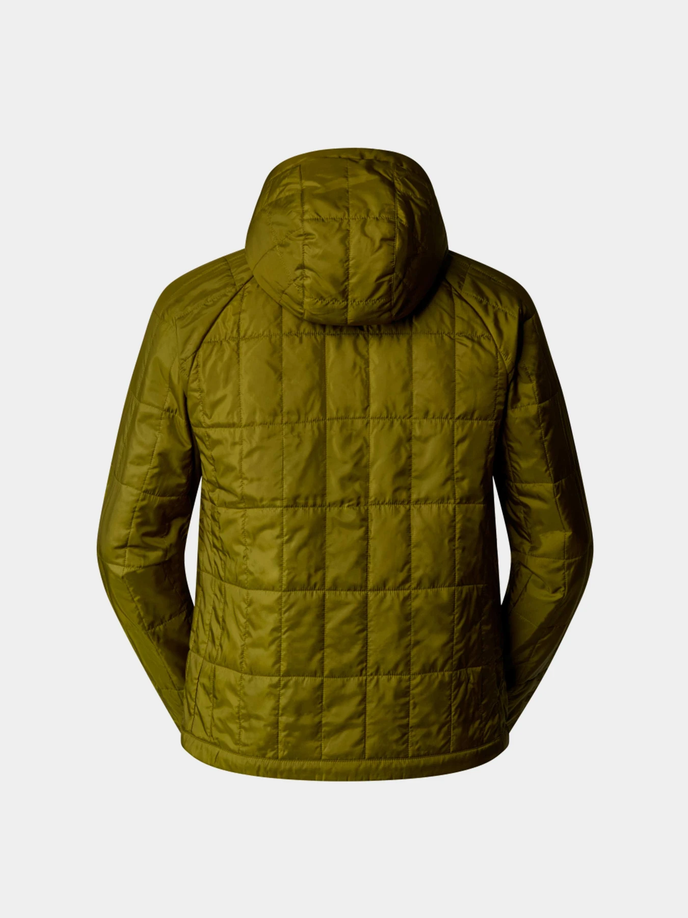 Куртки и дубленки The North Face модель NF0A88EXPIB1 Куртки и дубленки The North Face модель NF0A88EXPIB1 Фото