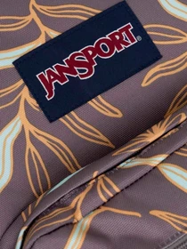 Рюкзаки JanSport модель EK0A5BAP6K61 Фото