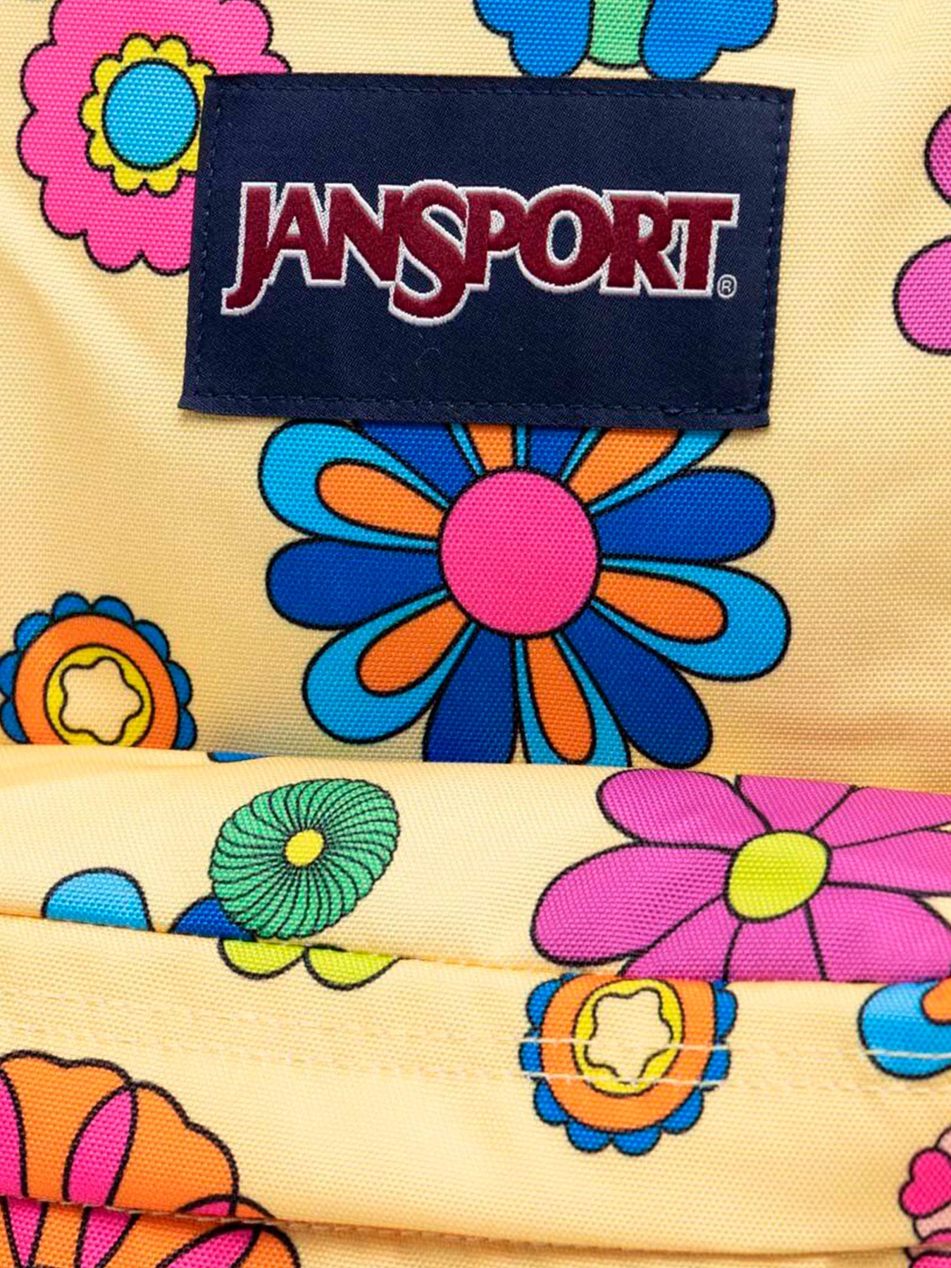 Рюкзаки JanSport модель EK0A5BAG6K11 Рюкзаки JanSport модель EK0A5BAG6K11 Фото