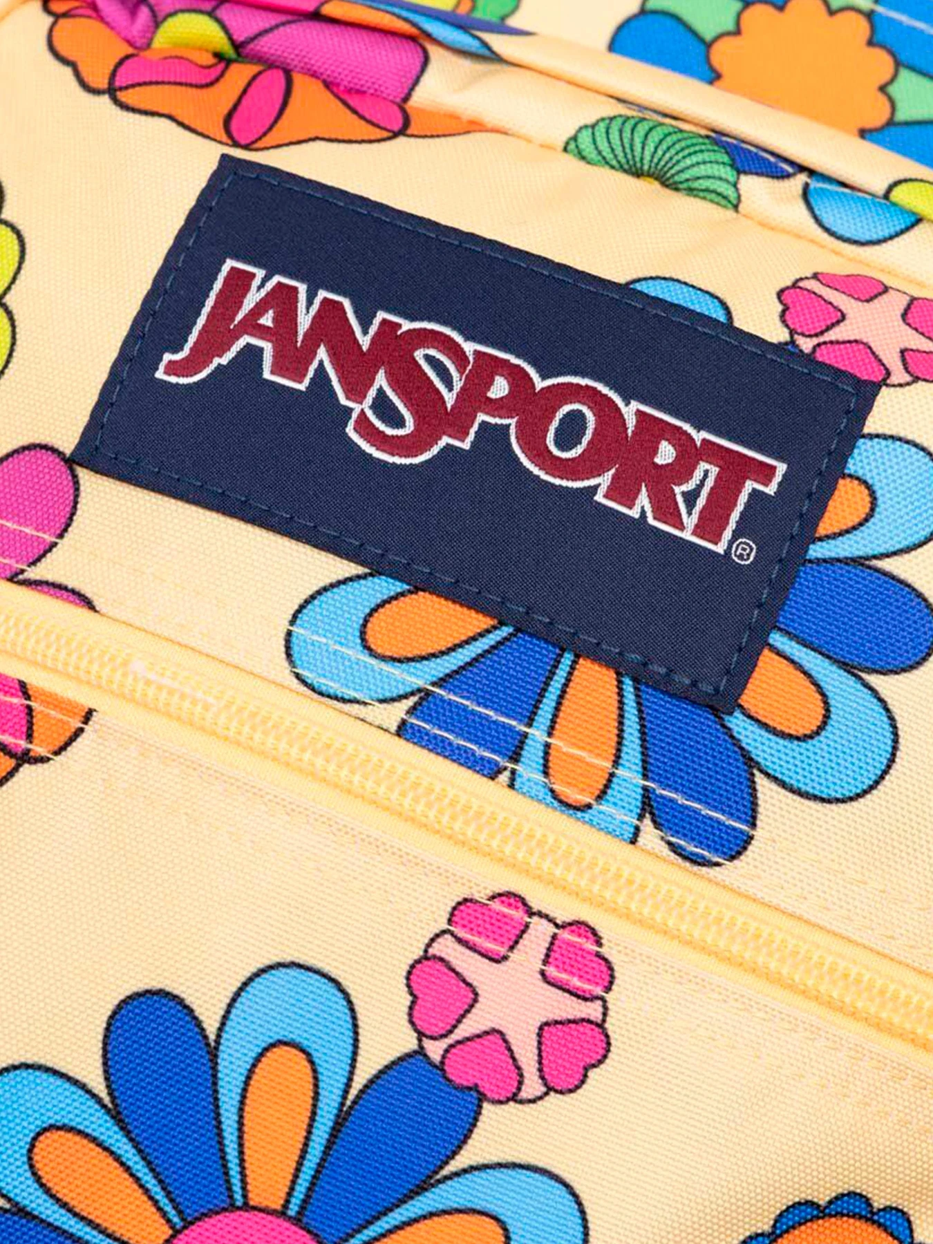 Рюкзаки JanSport модель EK0A5BAH6K11 Рюкзаки JanSport модель EK0A5BAH6K11 Фото