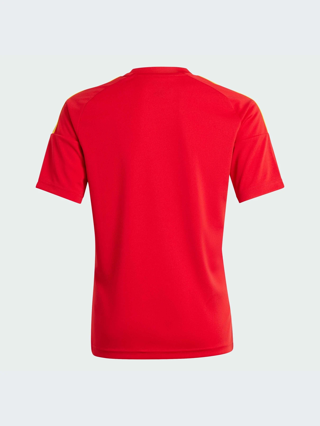 Футболки и поло Adidas модель IP9353-KZ Футболки и поло Adidas модель IP9353-KZ Фото