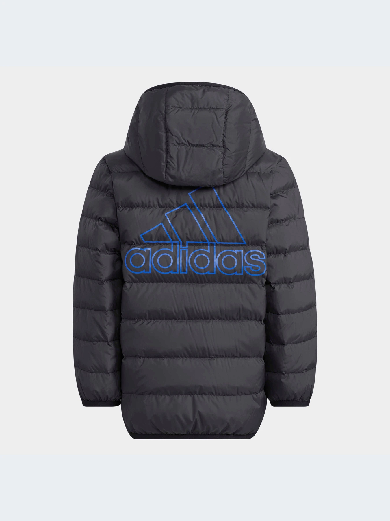 Куртки и дубленки Adidas модель H40326-KZ Куртки и дубленки Adidas модель H40326-KZ Фото