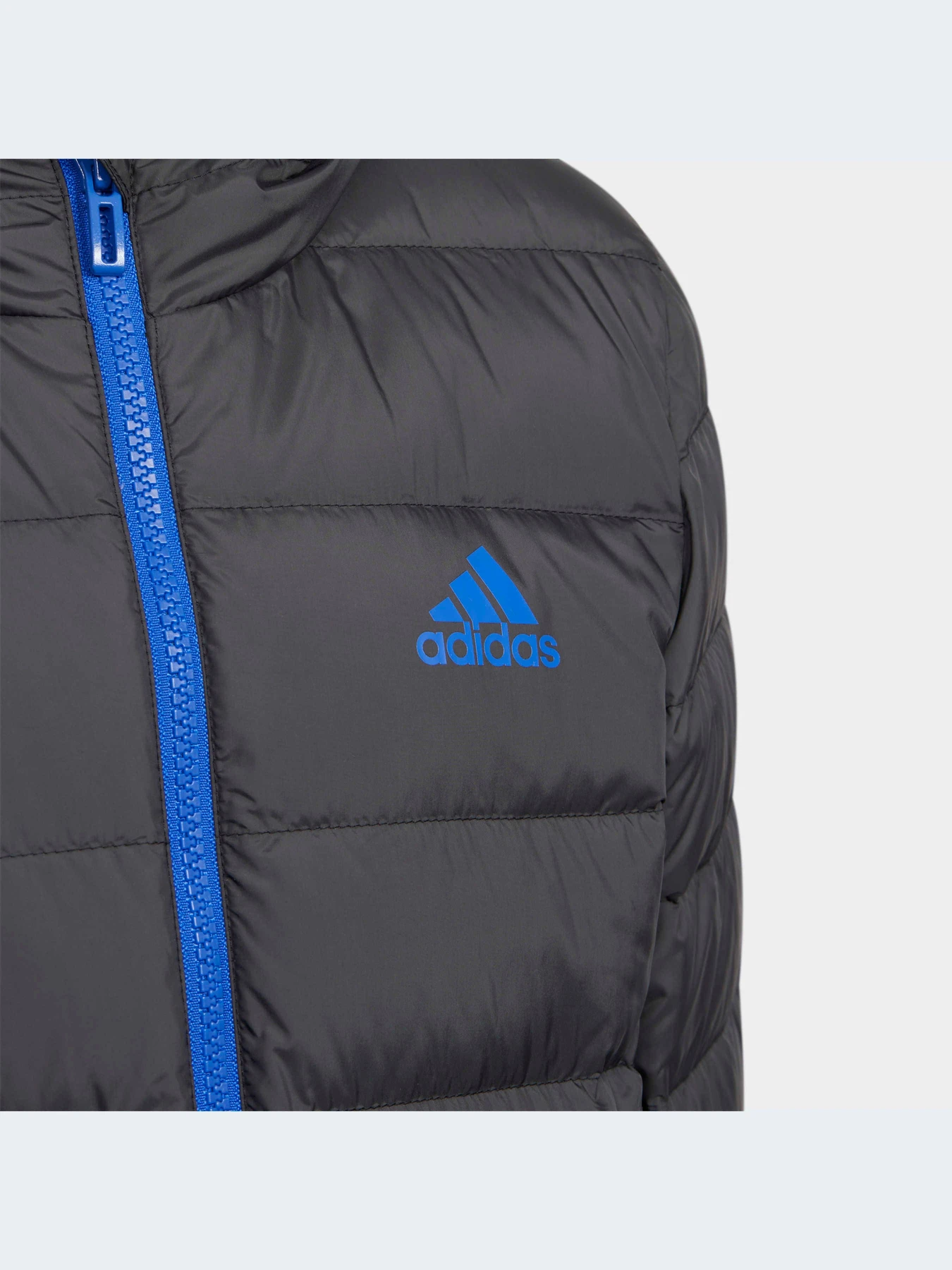 Куртки и дубленки Adidas модель H40326-KZ Куртки и дубленки Adidas модель H40326-KZ Фото