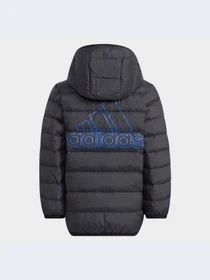 Куртки и дубленки Adidas модель H40326-KZ Фото