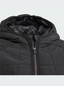 Куртки и дубленки Adidas Adventure модель IL5005-KZ Фото